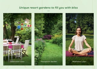 Stock
Images
used
for
representational
purposes
only
and
is
only
indicative
of
the
amenity
/
development
and
not
actual
delivery.
Celebration Lawn Therapeutic Garden Meditation Lawn
Unique resort gardens to fill you with bliss
 