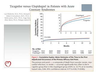 HR for protocol-defined major bleeding = 1.04 (0.95-1.13)
 