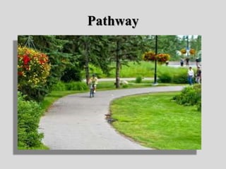 Pathway
 