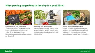 © Nicola Mattina - 2017Urban Roots
Why growing vegetables in the city is a good idea?
Sustainability and efﬁciency
Vegetables are not packaged, stored
in refrigerators and transported.
There is no waste along the
distribution chain or unsold products
on the shelf.
Security and traceability
Vegetables are grown in controlled
environments, which signiﬁcantly
reduce or eliminate pesticides and
herbicides.
Social impact and education
Urban farms bring people together
and nurture social cohesion. What's
more, they help educate children
about healthy eating and vegetables.
 