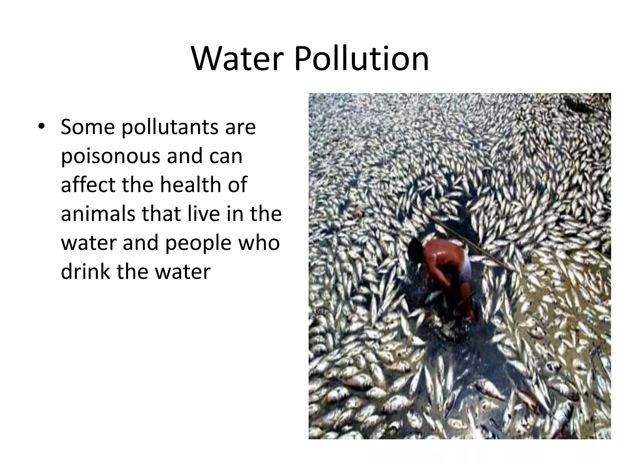 Water Pollution
• Some pollutants are
poisonous and can
affect the health of
animals that live in the
water and people who
drink the water
 