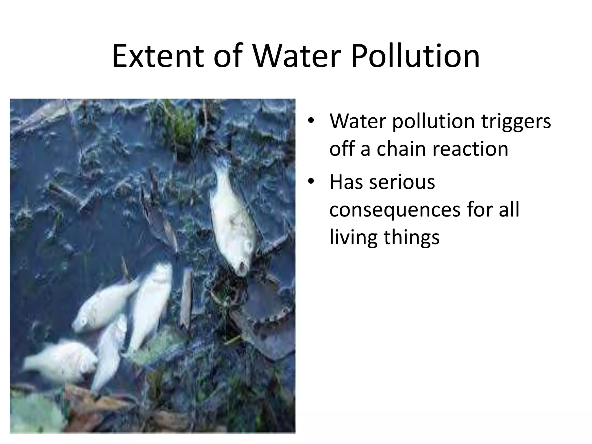 Extent of Water Pollution
• Water pollution triggers
off a chain reaction
• Has serious
consequences for all
living things
 