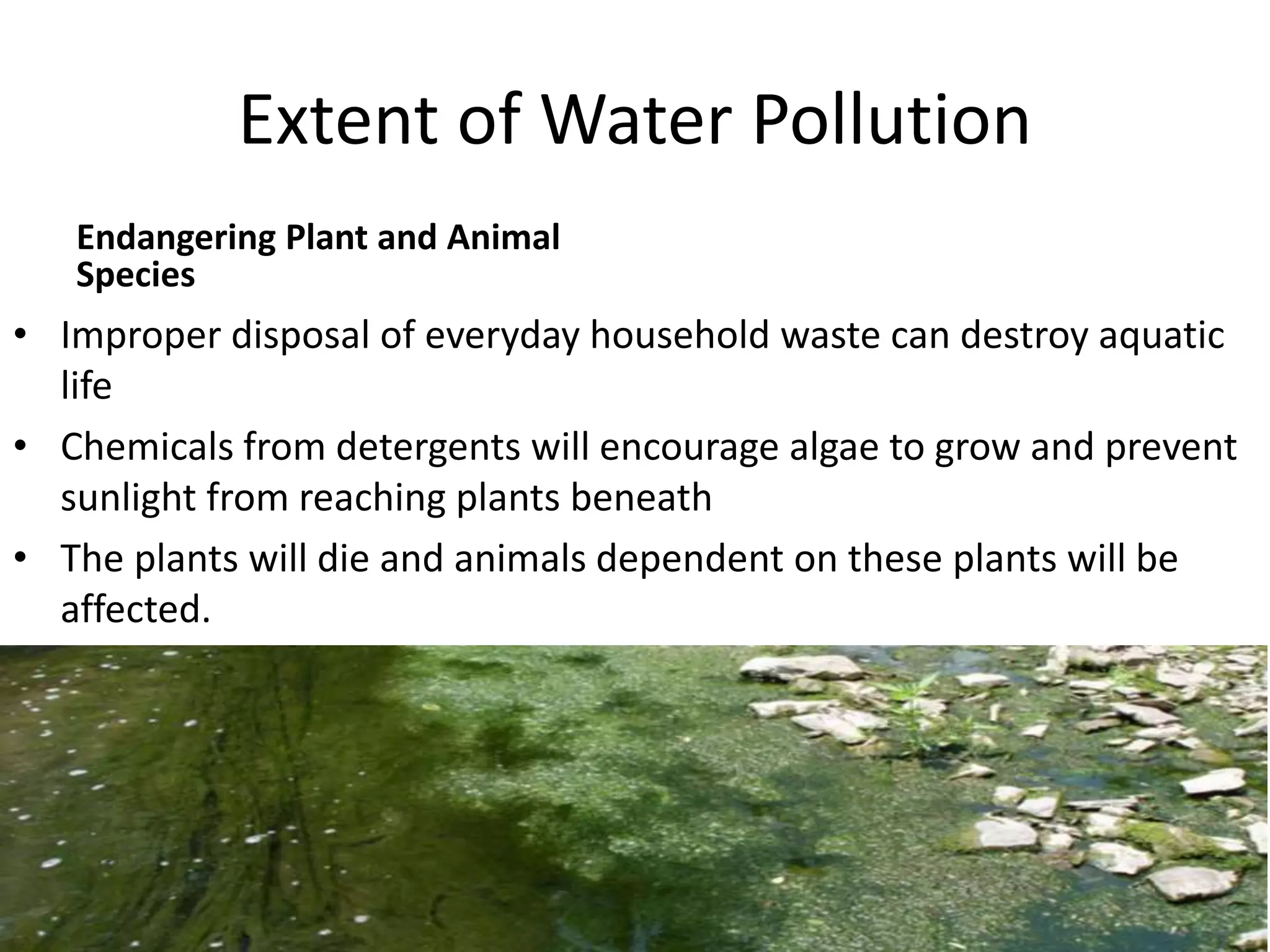 Extent of Water Pollution
Endangering Plant and Animal
Species
• Improper disposal of everyday household waste can destroy aquatic
life
• Chemicals from detergents will encourage algae to grow and prevent
sunlight from reaching plants beneath
• The plants will die and animals dependent on these plants will be
affected.
 