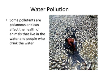 Water Pollution
• Some pollutants are
poisonous and can
affect the health of
animals that live in the
water and people who
drink the water
 