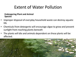 Extent of Water Pollution
Endangering Plant and Animal
Species
• Improper disposal of everyday household waste can destroy aquatic
life
• Chemicals from detergents will encourage algae to grow and prevent
sunlight from reaching plants beneath
• The plants will die and animals dependent on these plants will be
affected.
 