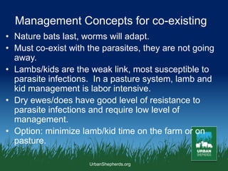 Internal Parasite Management in Pasture-Based Sheep | PPT