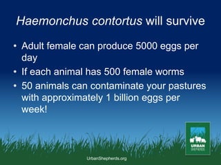 Internal Parasite Management in Pasture-Based Sheep | PPT