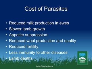 Internal Parasite Management in Pasture-Based Sheep | PPT