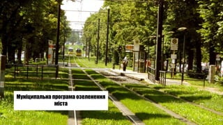 Муніципальна програма озеленення
міста
 