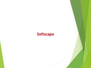 Softscape
 