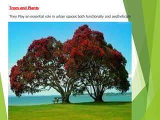 Trees and Plants
They Play an essential role in urban spaces both functionally and aesthetically
 