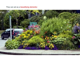 They can act as a beautifying elements:
 