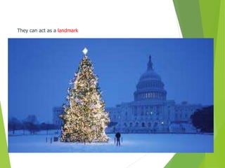 They can act as a landmark
 