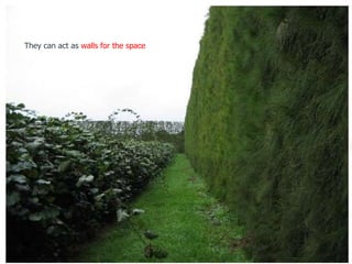 They can act as walls for the space
 