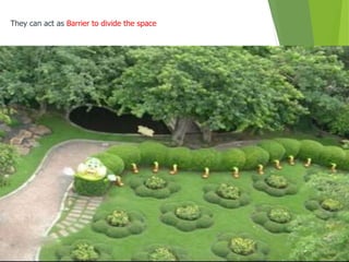 They can act as Barrier to divide the space
 