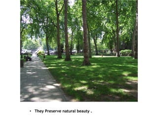 • They Preserve natural beauty .
 