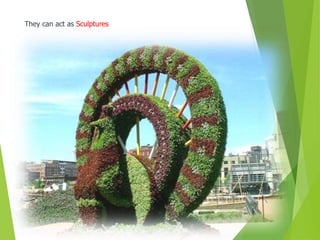 They can act as Sculptures
 