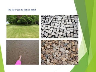 The floor can be soft or harsh
 