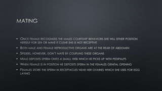 •
•
•
•
•
•
 