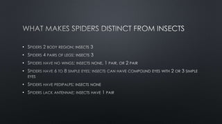 •
•
•
•
•
•
 