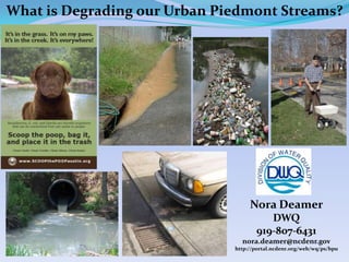 What is Degrading our Urban Piedmont Streams?




                                   Nora Deamer
                                        DWQ
                                     919-807-6431
                                nora.deamer@ncdenr.gov
                              http://portal.ncdenr.org/web/wq/ps/bpu
 