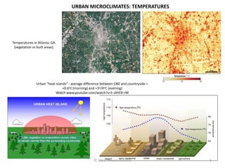 URBAN MICROCLIMATES: TEMPERATURES




Temperatures in Atlanta, GA
 (vegetation vs built areas)




               Urban “heat islands” : average difference between CBD and countryside =
                                +0.6oC (morning) and +3o/4oC (evening)
                           Watch www.youtube.com/watch?v=t-sXHl3l-rM




                                                   © 2011 Antoine Delaitre               1
 