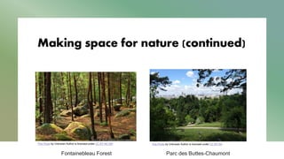 Making space for nature (continued)
This Photo by Unknown Author is licensed under CC BY-NC-ND
Fontainebleau Forest
This Photo by Unknown Author is licensed under CC BY-SA
Parc des Buttes-Chaumont
 