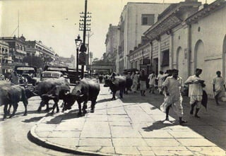 Urban transport - Kolkata