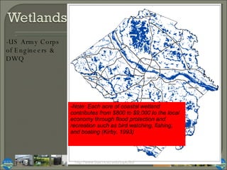 http://www.bae.ncsu.edu/topic/lid/ -US Army Corps of Engineers & DWQ -Note: Each acre of coastal wetland contributes from $800 to $9,000 to the local economy through flood protection and recreation such as bird watching, fishing, and boating (Kirby, 1993) 