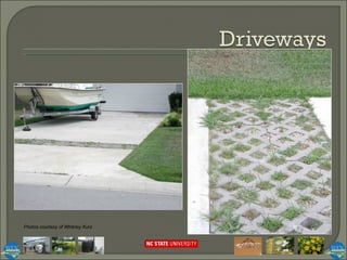 Photos courtesy of Whitney Kurz 