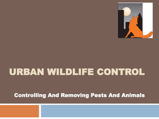 URBAN WILDLIFE CONTROL
Controlling And Removing Pests And Animals
 
