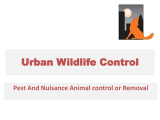 Urban Wildlife Control
Pest And Nuisance Animal control or Removal
 