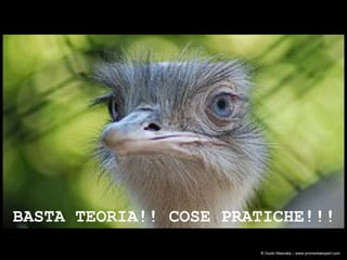 BASTA TEORIA!! COSE PRATICHE!!!  ® Guido Masnata – www.promediaexpert.com 