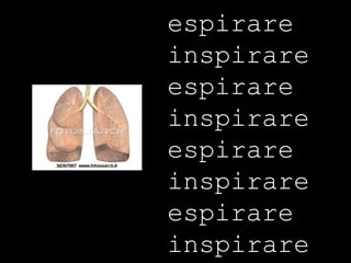 espirare inspirare espirare inspirare espirare inspirare espirare inspirare  