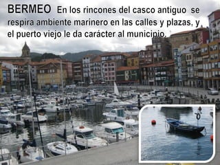 BERMEO
• Todo Bermeo parece estar construido para recordarnos su
histórica y permanente relación con el mar: el edificio de la
Cofradía de Pescadores, la lonja, las casas de colores y la
Torre de Ercilla, declarada Monumento Histórico Artístico, y
que alberga el Museo del Pescador
 