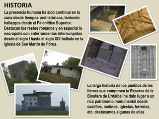 HISTORIA
La presencia humana ha sido continua en la
zona desde tiempos prehistóricos, teniendo
hallazgos desde el Paleolítico Superior.
Destacan los restos romanos y en especial la
necrópolis con enterramientos interrumpidos
desde el siglo I hasta el siglo XIX hallada en la
iglesia de San Martín de Fórua.
La larga historia de los pueblos de las
tierras que componen la Reserva de la
Biosfera de Urdaibai ha dalo lugar a un
rico patrimonio monumental desde
castillos, molinos ,iglesias, ferrerías,
etc. destacamos algunas de ellas
 