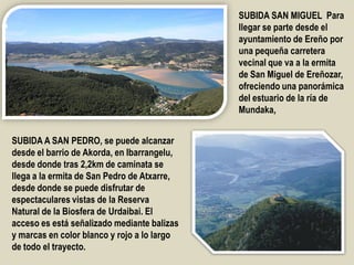 SUBIDA A SAN PEDRO, se puede alcanzar
desde el barrio de Akorda, en Ibarrangelu,
desde donde tras 2,2km de caminata se
llega a la ermita de San Pedro de Atxarre,
desde donde se puede disfrutar de
espectaculares vistas de la Reserva
Natural de la Biosfera de Urdaibai. El
acceso es está señalizado mediante balizas
y marcas en color blanco y rojo a lo largo
de todo el trayecto.
SUBIDA SAN MIGUEL Para
llegar se parte desde el
ayuntamiento de Ereño por
una pequeña carretera
vecinal que va a la ermita
de San Miguel de Ereñozar,
ofreciendo una panorámica
del estuario de la ría de
Mundaka,
.
 