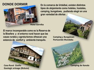 DONDE DORMIR En la comarca de Urdaibai, existen distintos
tipos de alojamiento como hoteles, hostales,
camping, bungalows, pudiendo elegir en una
gran variedad de ofertas .
Casa Rural Ozollo
Gautegiz arteaga (Bizkaia)
El marco incomparable como es la Reserva de
la Biosfera y el entorno rural hacen que las
casas rurales y agroturismos ofrezcan una
estancia de confort y ambiente tranquilo.
Camping de Kanala
Camping y Bungalows
Portuondo Mundaka
Hotel Gernika
 