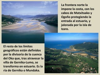 El resto de los límites
geográficos están definidos
por la divisoria de la cuenca
del Oka que, tras atravesar la
villa de Gernika-Lumo, se
transforma en estuario. Es la
ría de Gernika o Mundaka.
La frontera norte la
impone la costa, con los
cabos de Matxitxako y
Ogoño protegiendo la
entrada al estuario, y
jalonada por la isla de
Izaro.
 