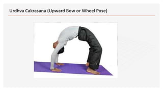 Urdhva Cakrasana (Upward Bow or Wheel Pose)
 