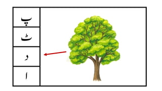Urdu Alphabet PPT 1 - Copy (1).pdf