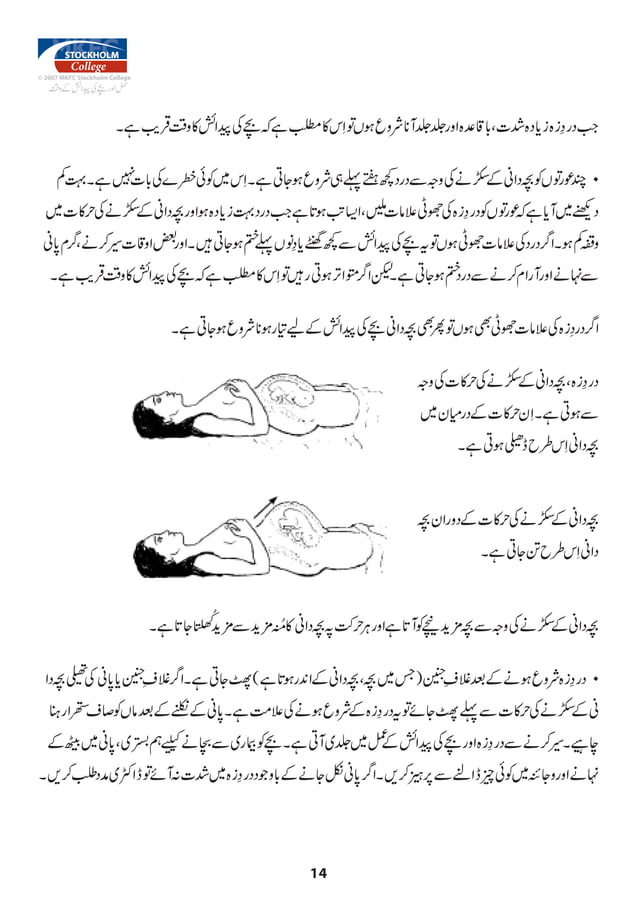 Urdu Pregnant manual PDF