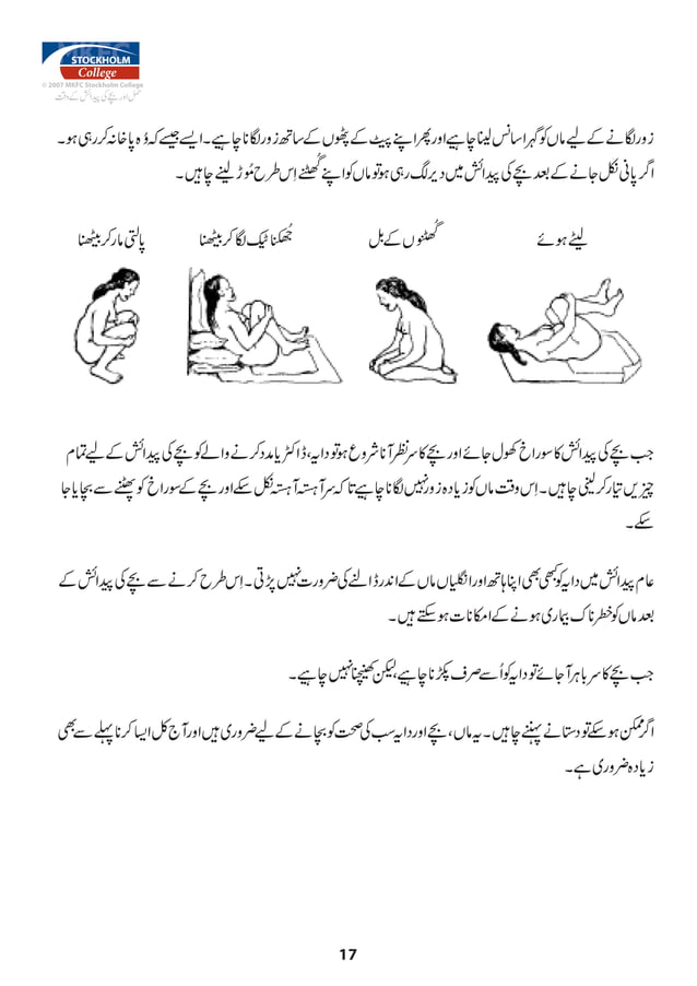 Urdu Pregnant manual PDF