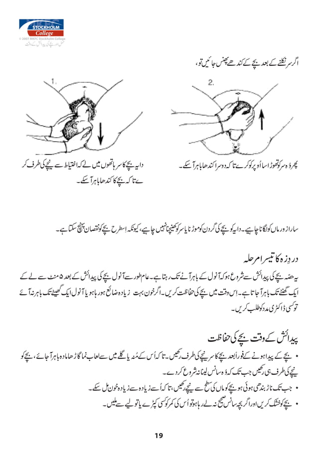 Urdu Pregnant manual