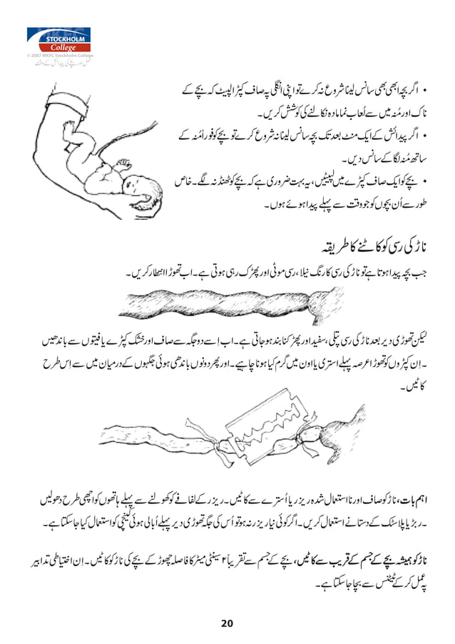 Urdu Pregnant manual PDF