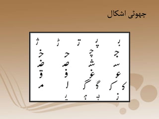 ‫اشکال‬‫چھوٹی‬
 