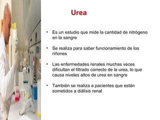Urea
• Es un estudio que mide la cantidad de nitrógeno
en la sangre
• Se realiza para saber funcionamiento de los
riñones
• Las enfermedades renales muchas veces
dificultan el filtrado correcto de la urea, lo que
causa niveles altos de urea en sangre
• También se realiza a pacientes que están
sometidos a diálisis renal
 