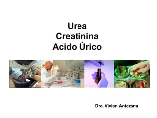 Urea
Creatinina
Acido Úrico
Dra. Vivian Antezana
 