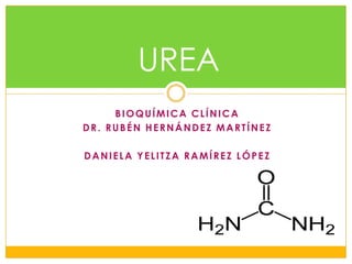 UREA
BIOQUÍMICA CLÍNICA
DR. RUBÉN HERNÁNDEZ MARTÍNEZ
DANIELA YELITZA RAMÍREZ LÓPEZ