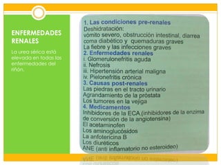 ENFERMEDADES
RENALES
La urea sérica está
elevada en todas las
enfermedades del
riñón.